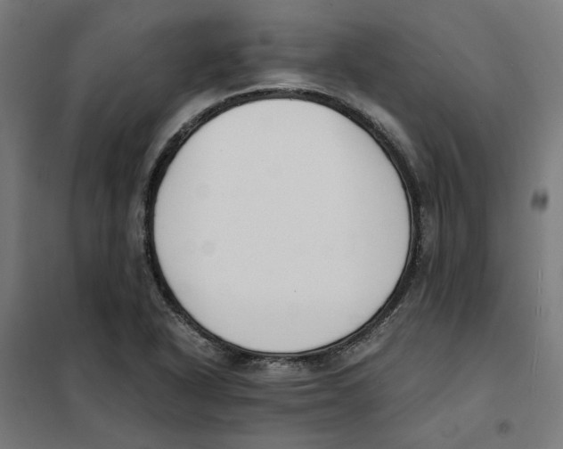 X0000101681318200808071059