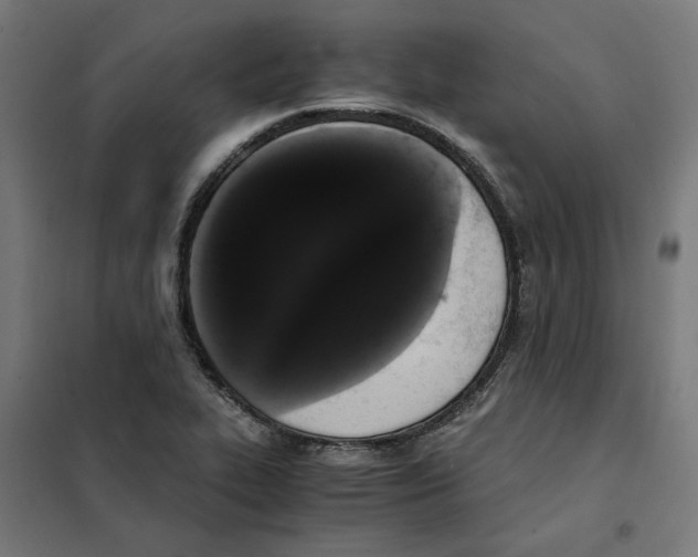 X0000101681319200808071059