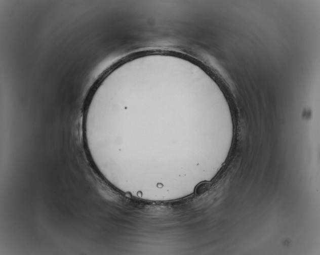 X0000101681320200808071059