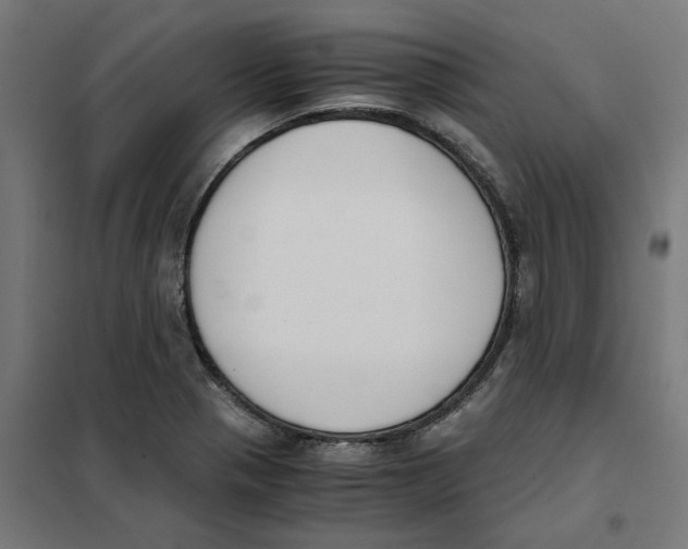 X0000101681321200808071059