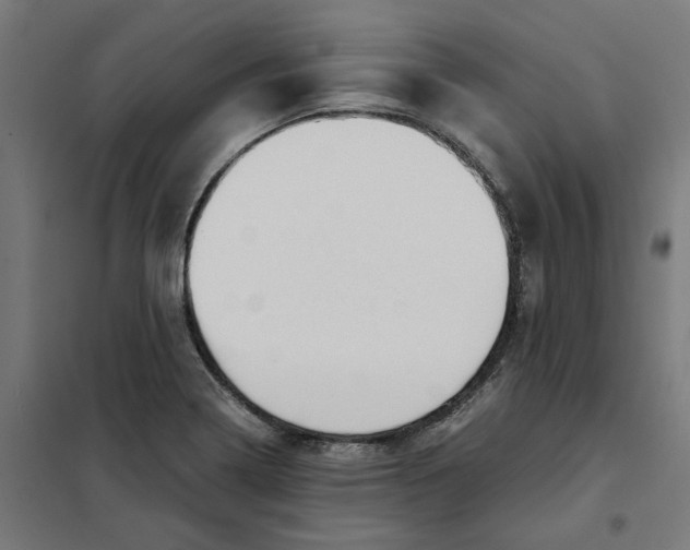 X0000101681322200808071059