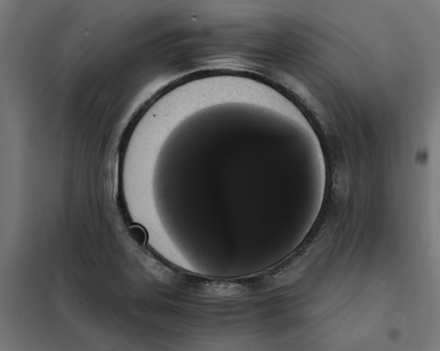 X0000101681323200808071059