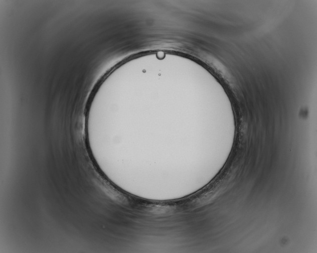 X0000101681324200808071059