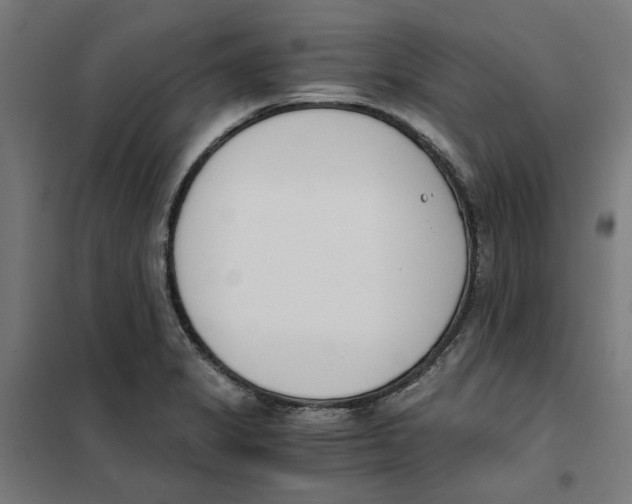 X0000101681325200808071059