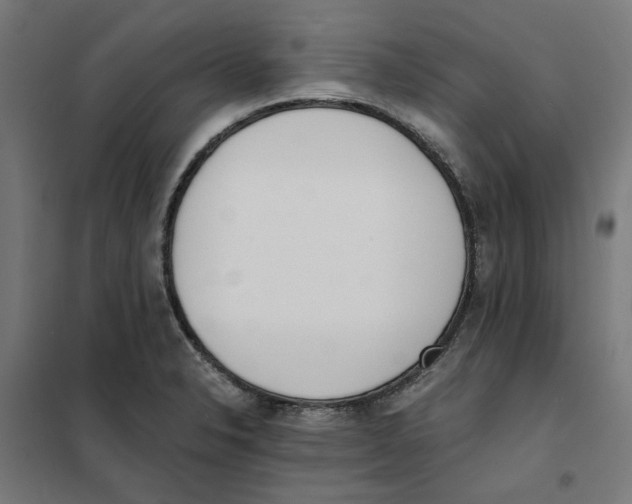 X0000101681326200808071059