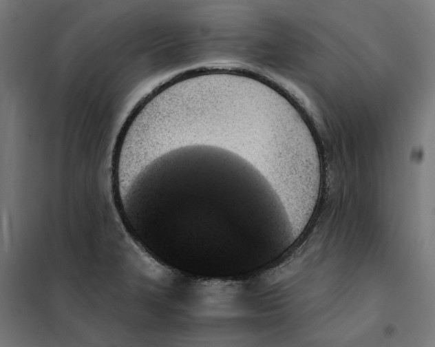 X0000101681327200808071059