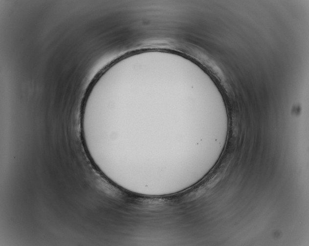 X0000101681328200808071059