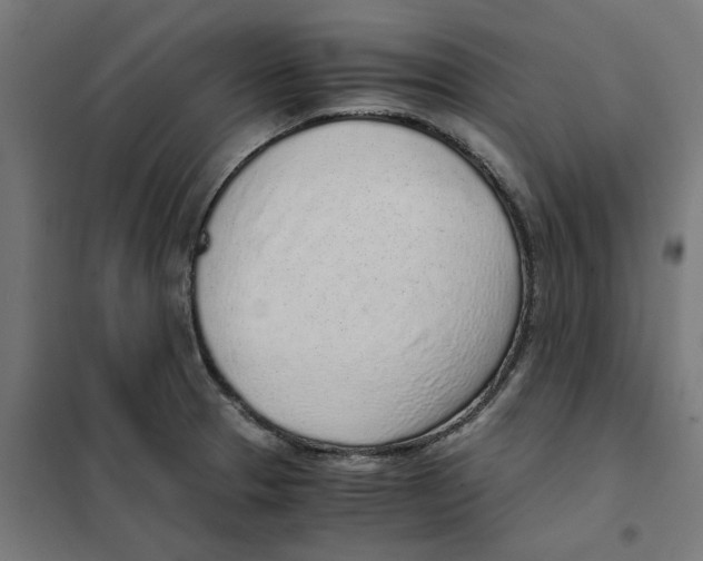 X0000101681329200808071059