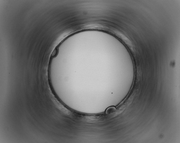 X0000101681330200808071059