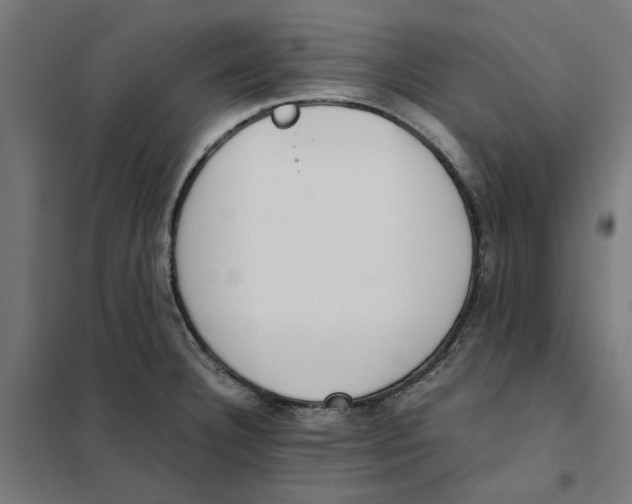 X0000101681332200808071059