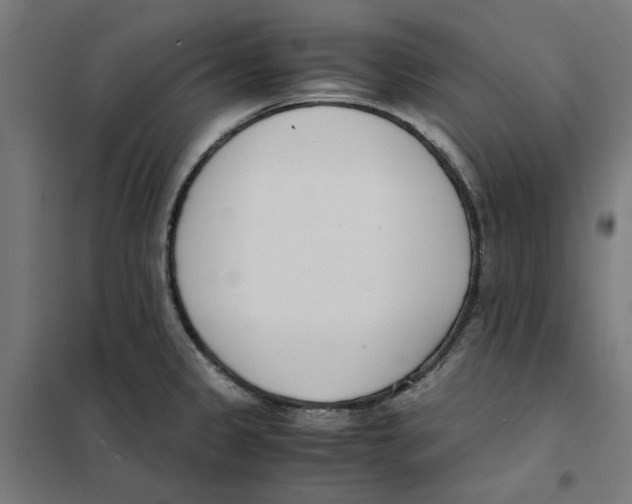 X0000101681333200808071059