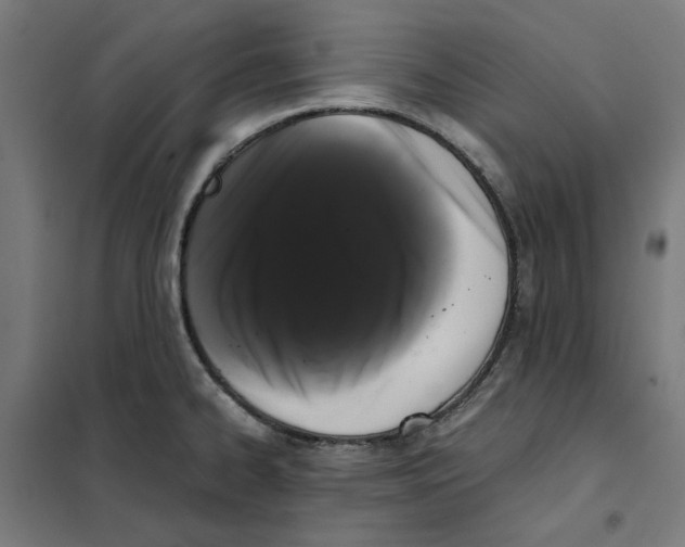 X0000101681334200808071059