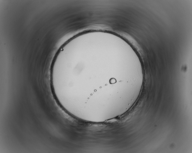 X0000101681335200808071059