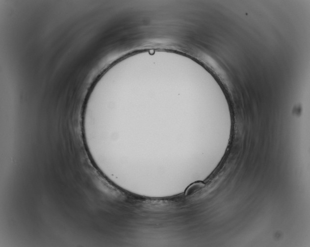 X0000101681336200808071059