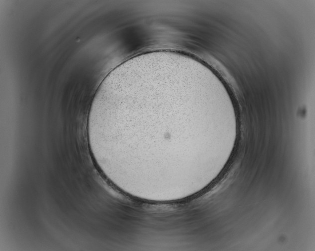 X0000101681337200808071059