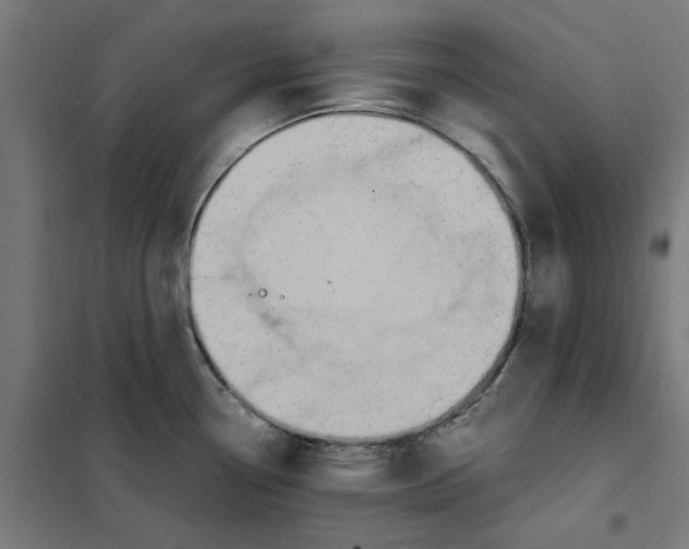 X0000101681338200808071059