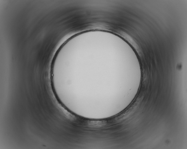 X0000101681339200808071100