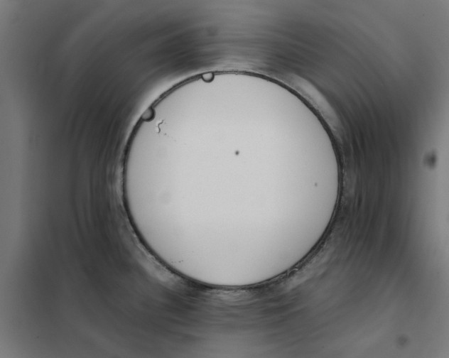 X0000101681340200808071100