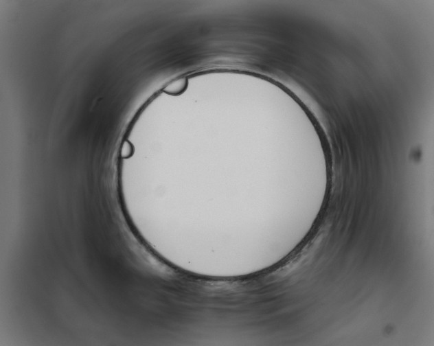 X0000101681341200808071100