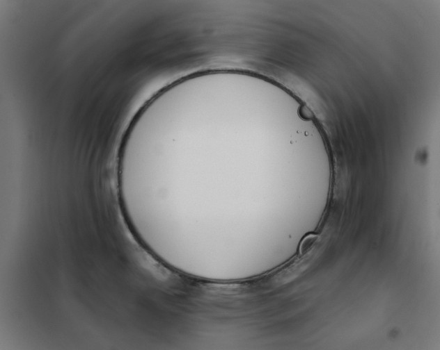 X0000101681342200808071100