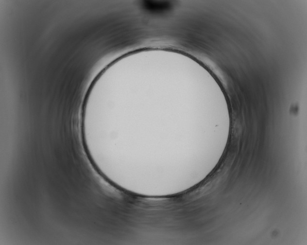 X0000101681343200808071100