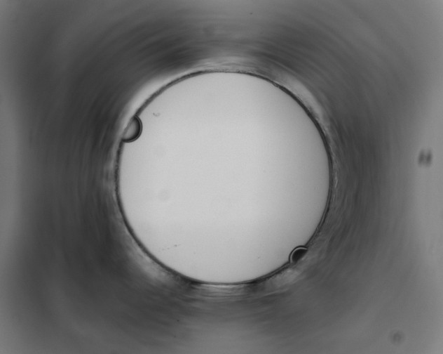 X0000101681344200808071100