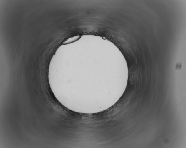 X0000101681345200808071059