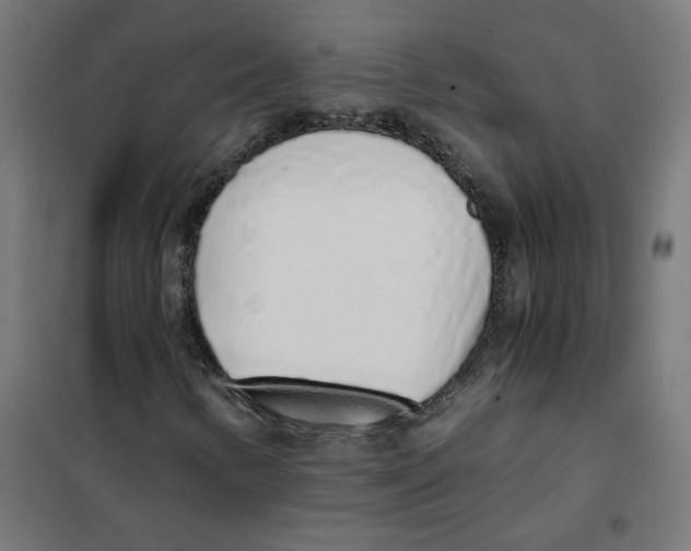 X0000101681346200808071059