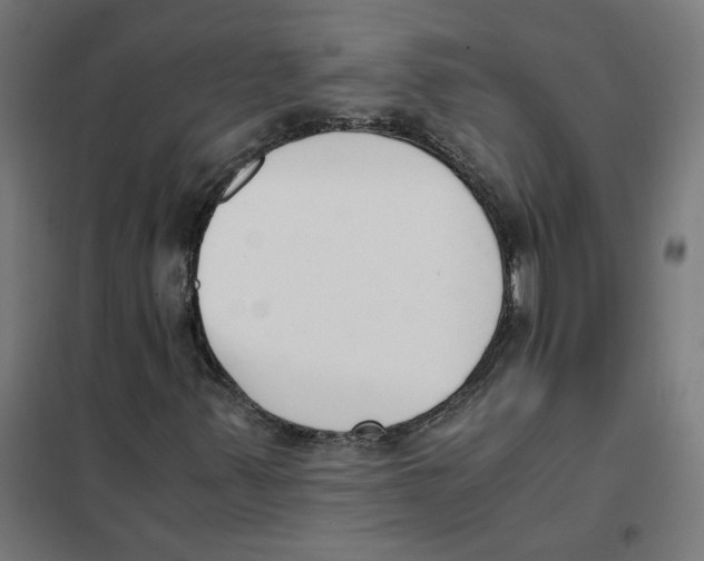 X0000101681347200808071059