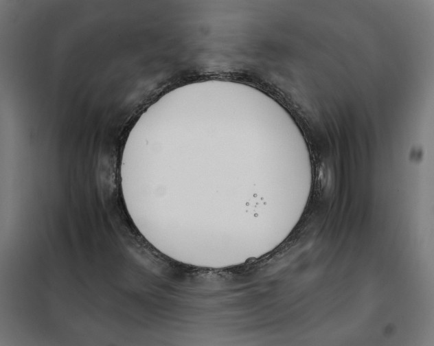 X0000101681348200808071059