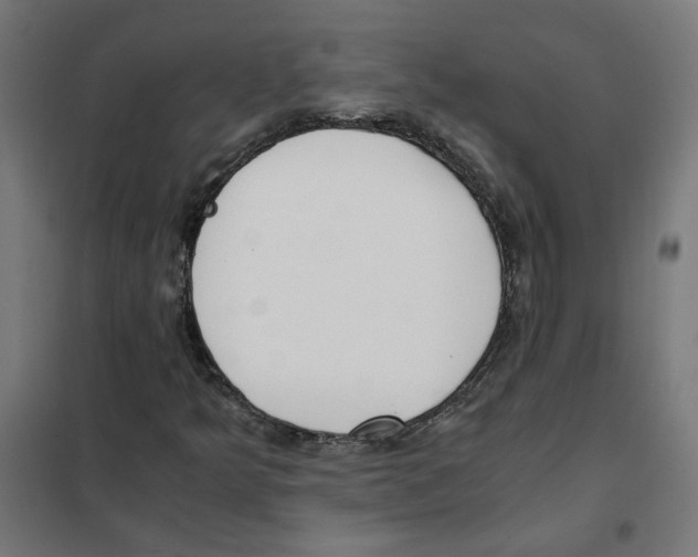 X0000101681349200808071059