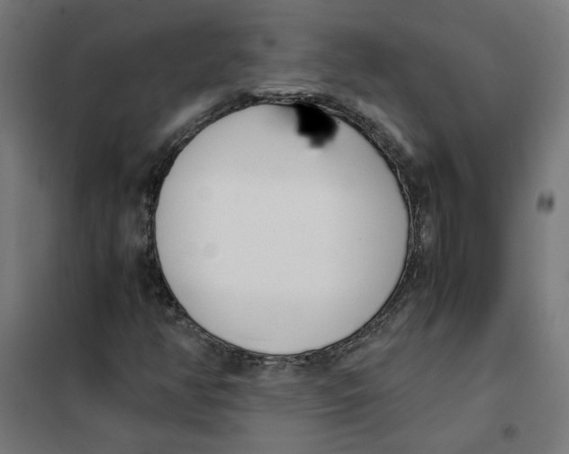 X0000101681350200808071059