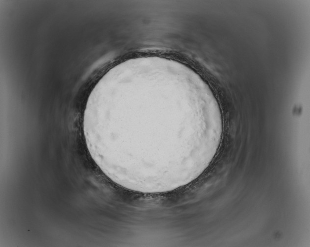 X0000101681351200808071059