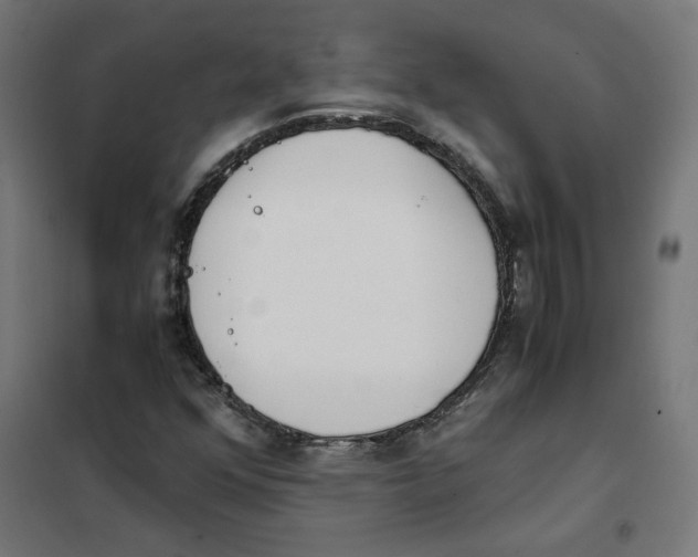 X0000101681352200808071059