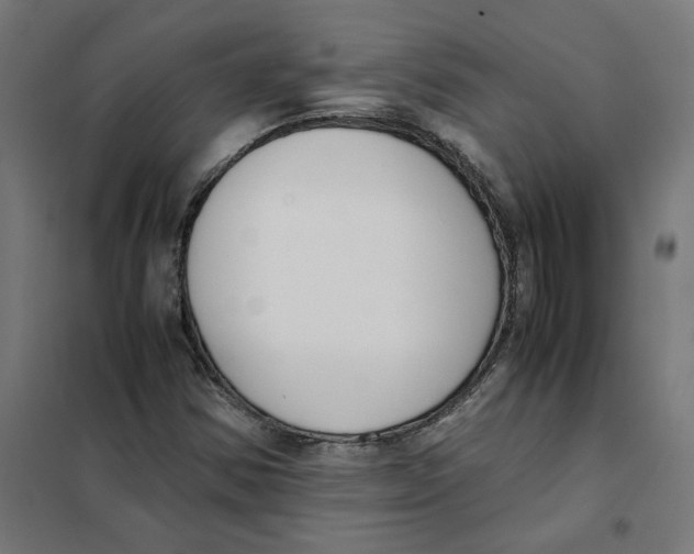 X0000101681354200808071059