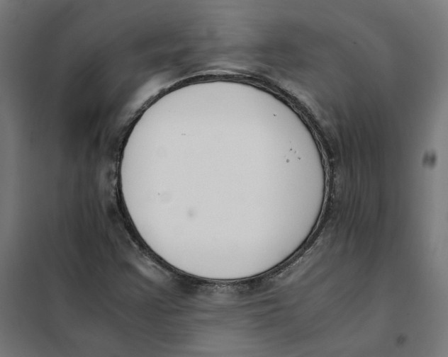 X0000101681355200808071059