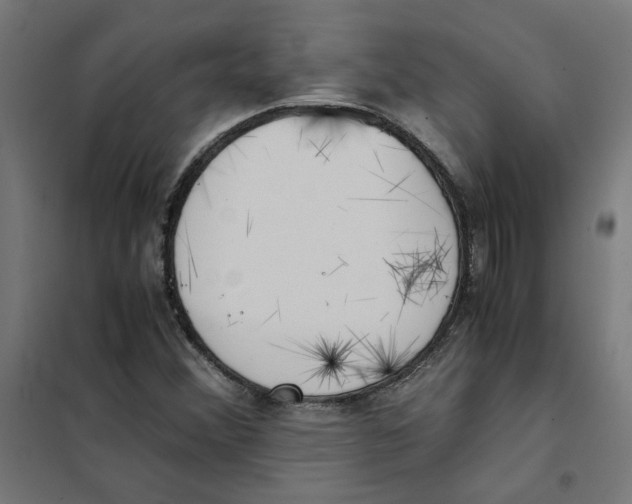 X0000101681356200808071059