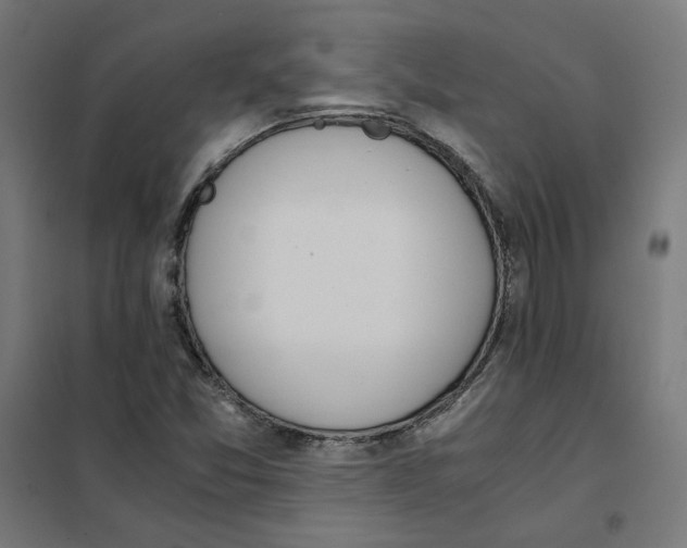 X0000101681357200808071059