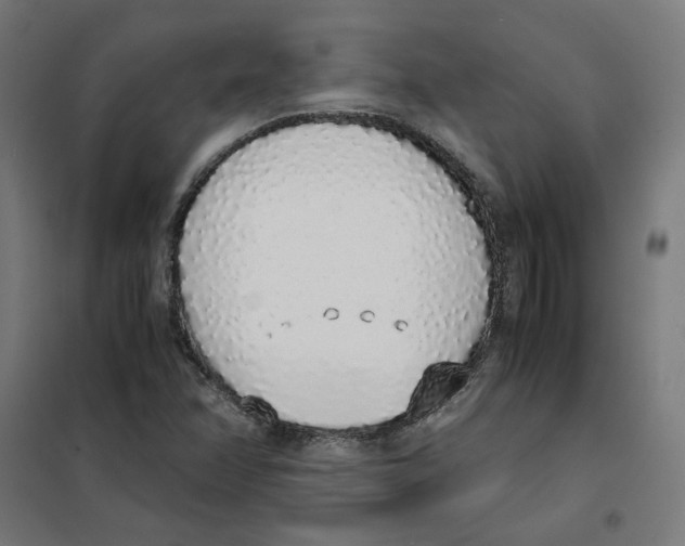 X0000101681358200808071059