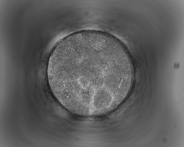 X0000101681359200808071059