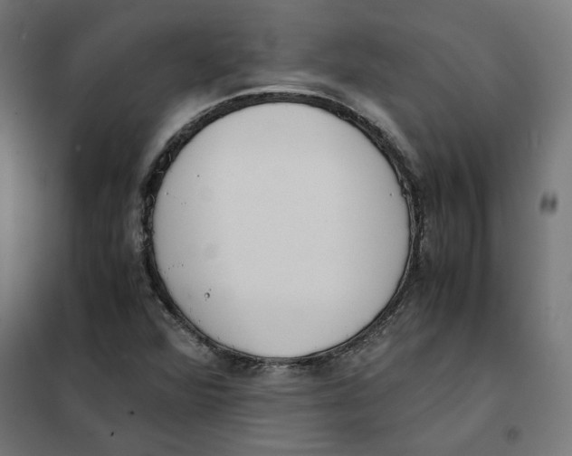 X0000101681360200808071059