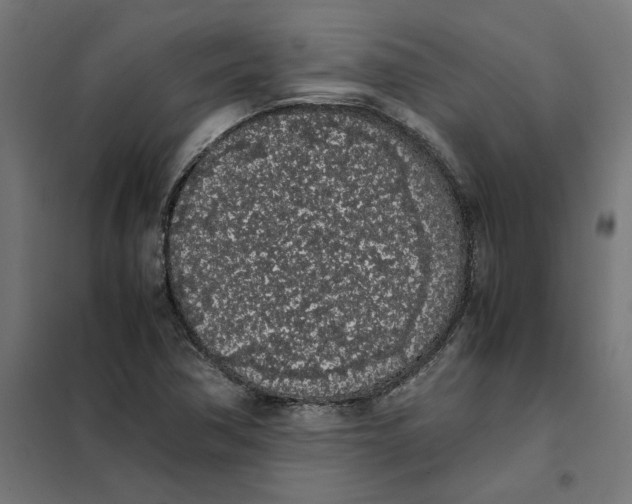 X0000101681362200808071059