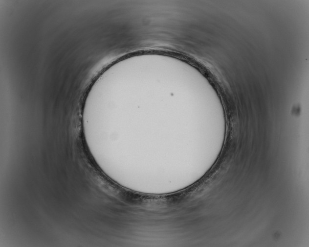 X0000101681363200808071059