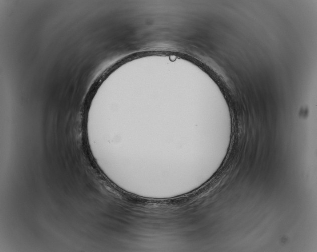 X0000101681364200808071059