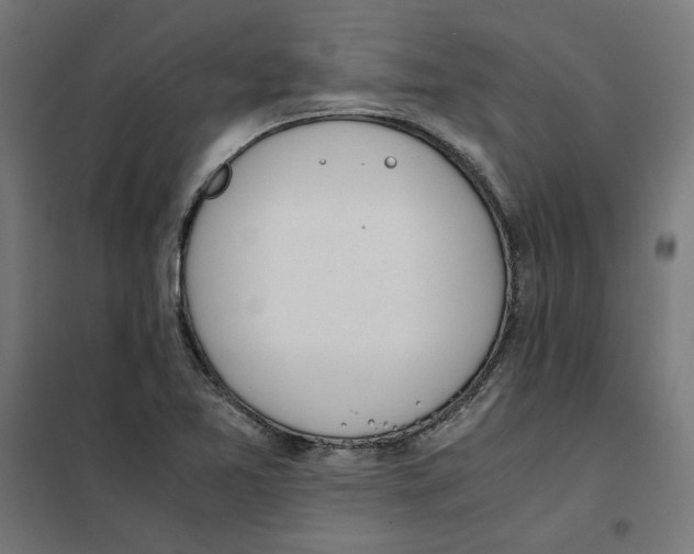 X0000101681365200808071059