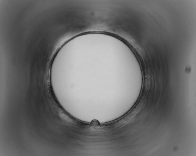 X0000101681366200808071059