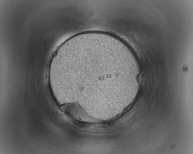 X0000101681367200808071059