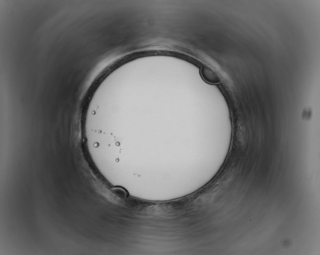 X0000101681368200808071059