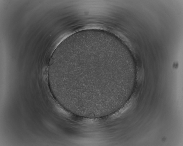 X0000101681369200808071059