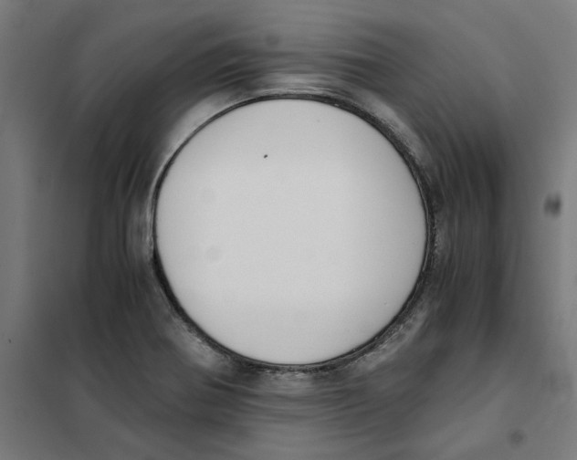 X0000101681370200808071059